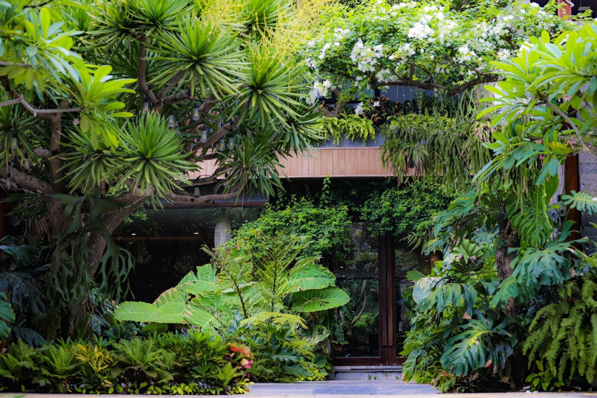 K House Apartment Danang Beach Da Nang Exterior foto